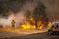 Bushfire Threat Assessments and Planning in Sydney image 1